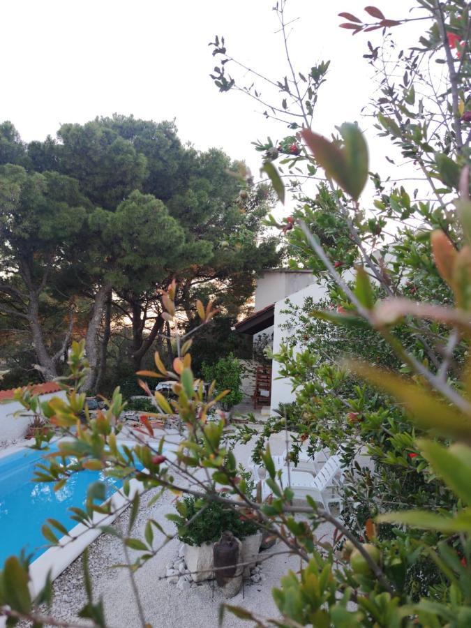 Vacation House Milka ميلنا المظهر الخارجي الصورة