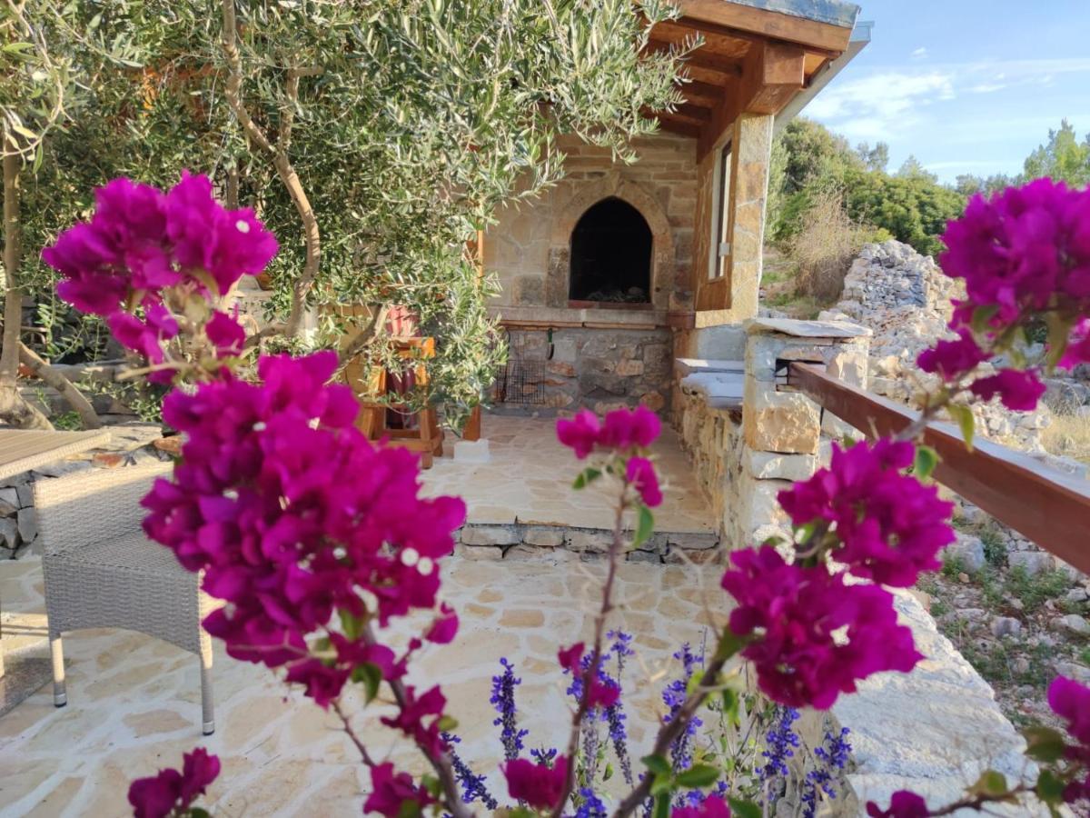 Vacation House Milka ميلنا المظهر الخارجي الصورة
