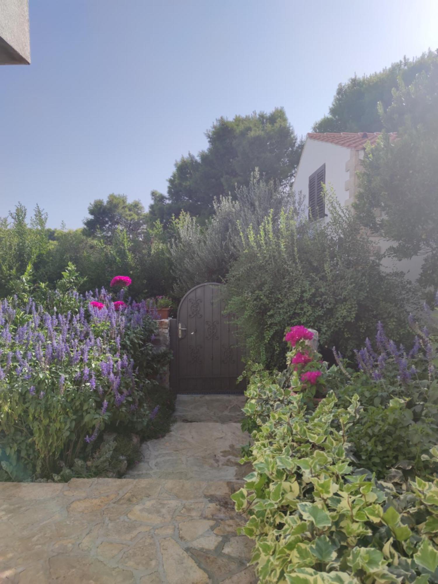 Vacation House Milka ميلنا المظهر الخارجي الصورة
